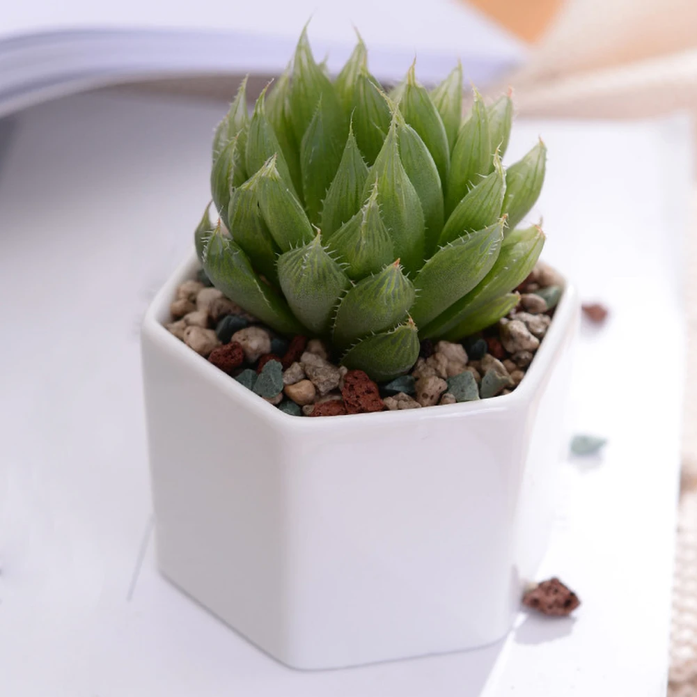 

Ceramic Flower Pot Succulent Plant Flower Pot For Horticulture Planting Containers Bonsai Home Garden Office Potted Holders