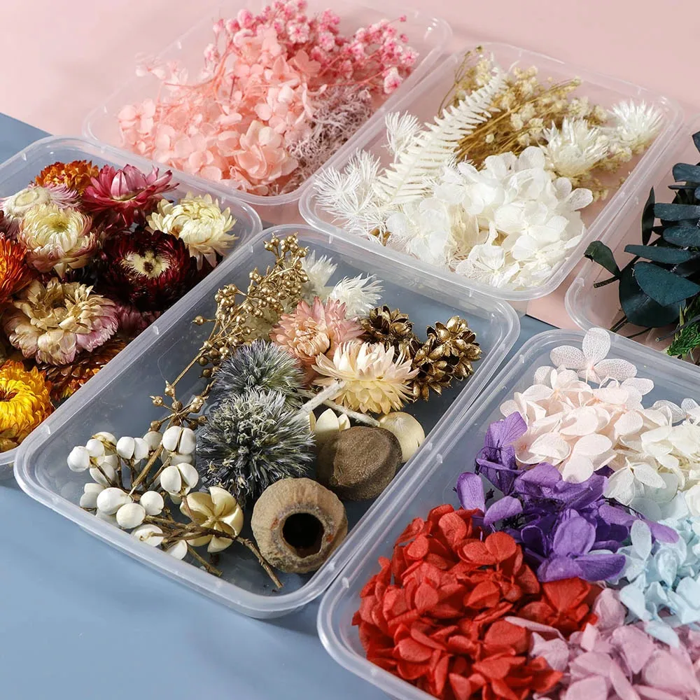 

1 Box Colorful Real Dried Flower Plant For Aromatherapy Candle Epoxy Resin Pendant Necklace Jewelry Making Craft Diy Accessories