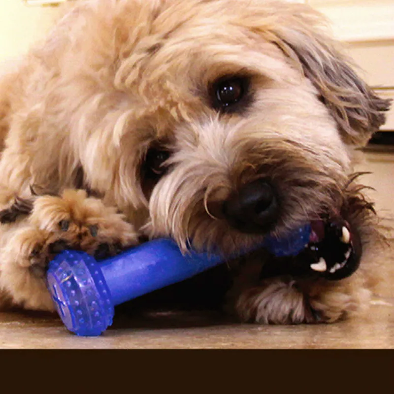 Замороженные жевательные игрушки для собак охлаждающие Игрушки больших крутая