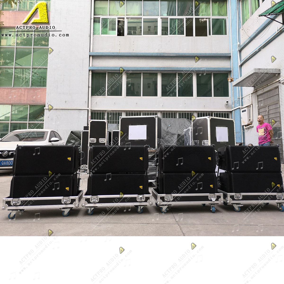 Профессиональный аудио один 12 дюймовый двухсторонний миниатюрный линейный