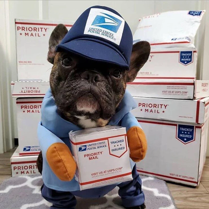 Colecciones UPS Pal-ropa para perro grande, disfraz divertido para perro peque&ntilde;o, conjunto de sombrero con capucha para fiesta de a&ntilde;o nuevo, gatos y mascotas, para invierno-4