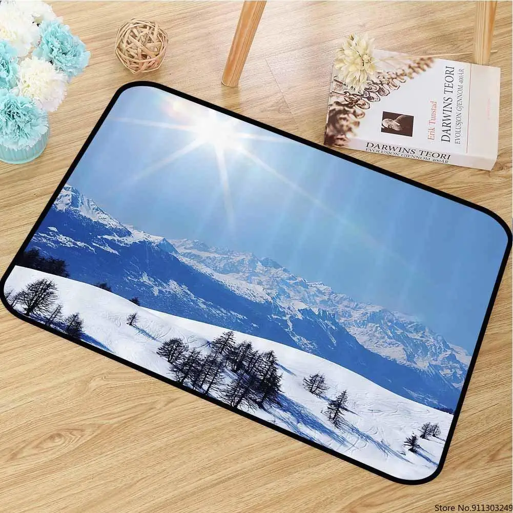 Прочный дверной коврик зимние украшения для развлечений аэроплан свежего