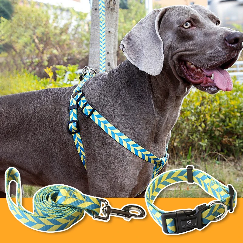 

Pet Accessories Dog Collar Polyester Soft Personalized Logo Item Pattern Touch Multicolor Leash