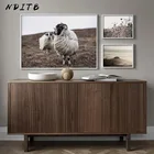 Постер на холсте с изображением скандинавских осенних пейзажей, овец, травы, Декоративная Настенная картина, украшение для дома