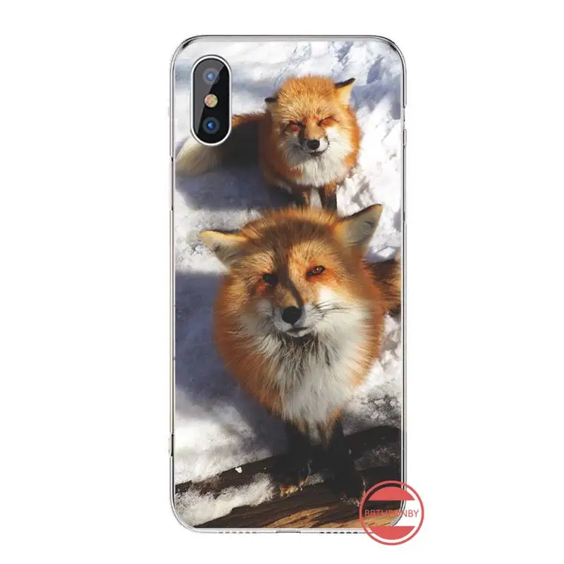 

beautiful Animal Fox Raccoon Phone Case For iphone 12 5 5s 5c se 6 6s 7 8 plus x xs xr 11 pro max
