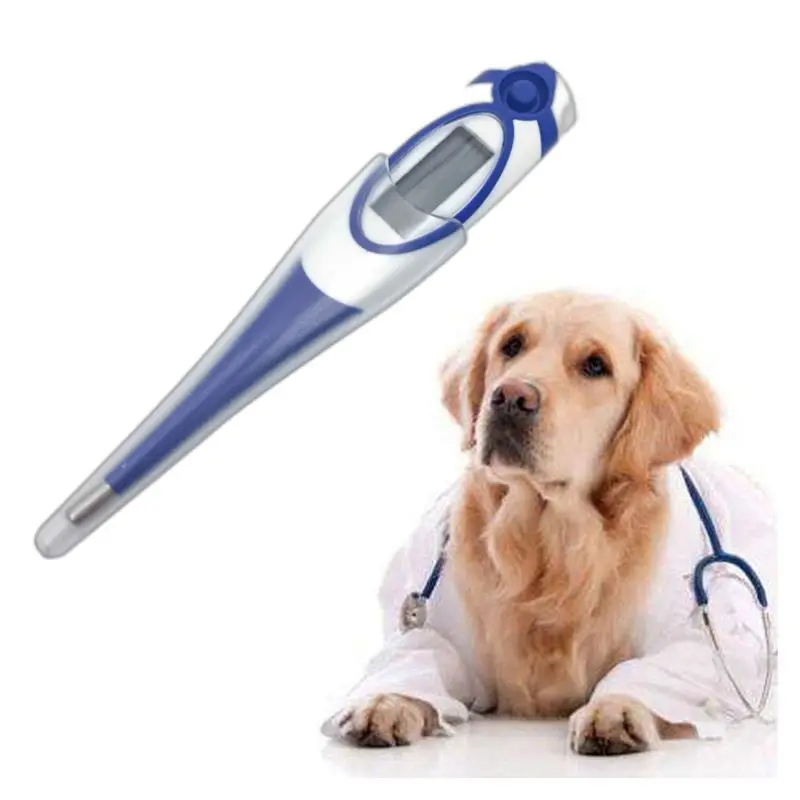 

Animal Digital Thermometer Electronic Medical Body Veterinary Equipment Home Products Supplies Pet For Owners Of Dog Cat Horse