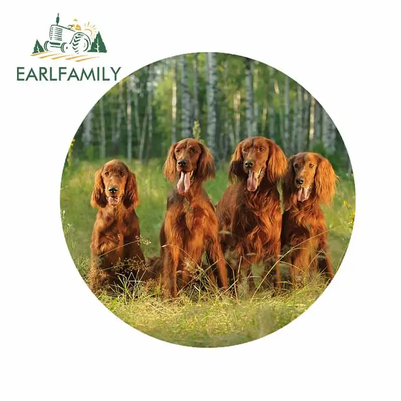 EARLFAMILY 13cm x 13cm for Irish Red Setter Family Dog Car Bumper Window Stickers Personality Creative Sticker Fashion SUV Decal