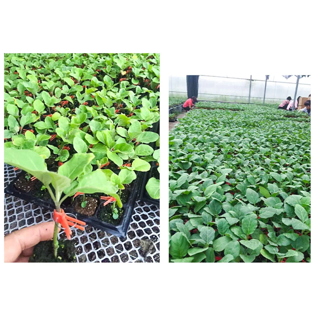 

Plant Plastic Clip Red Reusable Flated Flower Vegetable Rust-proof Garden Professional Pruning Shears 50PCS Grafting Clamps