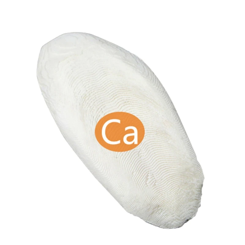 

K3NA Reptile Turtle Health Slow Release Calcium Mineral Cuttlefish Bone for Aquatic Turtle Bird Feed Cuttlebone Block