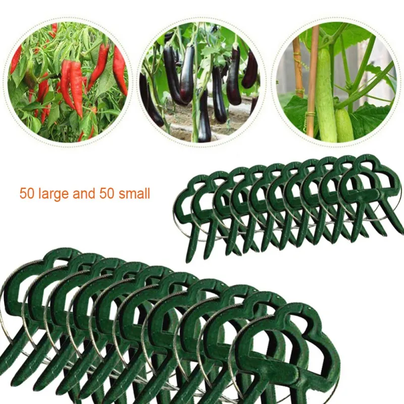

50/100 Pcs Reusable Plastic Plant Support Clips Garden Tomato Plant Support Clips For Supporting Stems Garden Tools For Straight