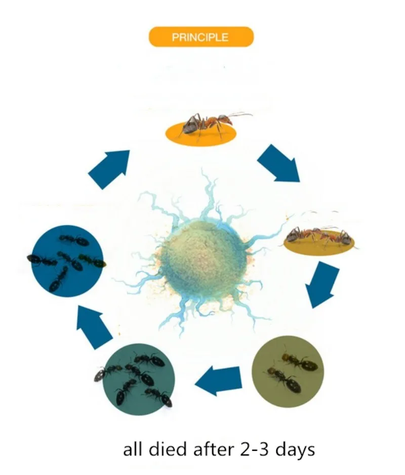 1 пакет! Чудесный порошок против муравьев наживка инсектициды лекарственные