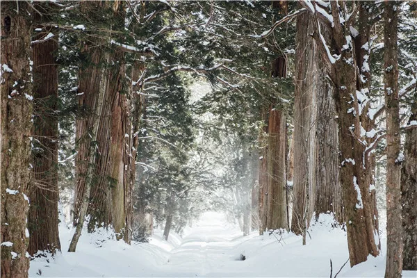 

SHUOZHIKE Q191027-44