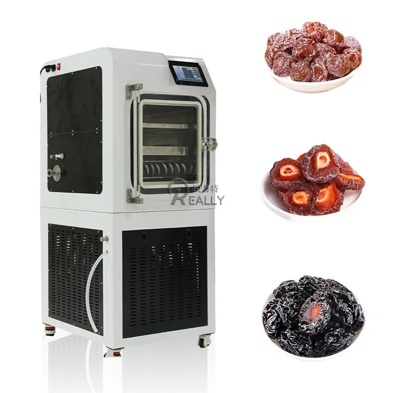 Vegetable Freeze Dehydrator Laboratory Vacuum Food Freeze Dryer Fruit Drying Equipment for Sale Stainless Steel