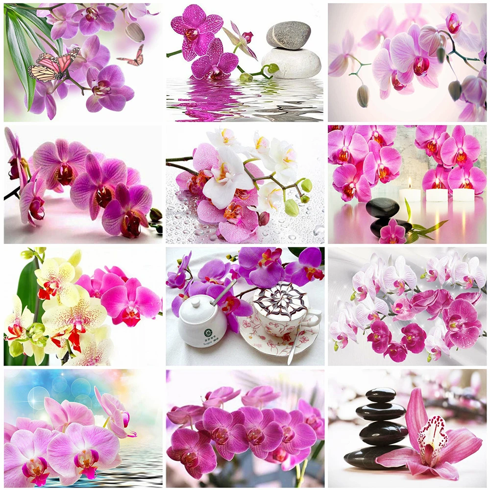 

Flowers Orchid Stone Pictures Posters and Prints Canvas Painting Wall Art Canvas Pictures for Kids Living Room Home Decoration