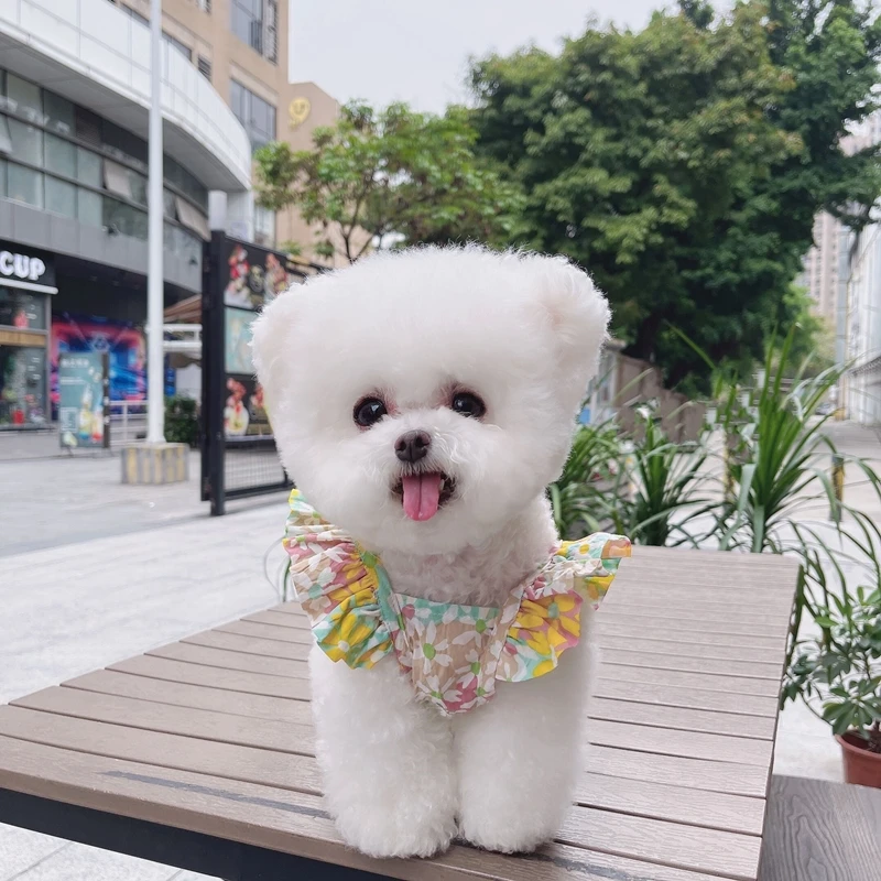 

Pet clothes spring and summer floral flying sleeve short skirt dog cat summer breathable thin vest skirt