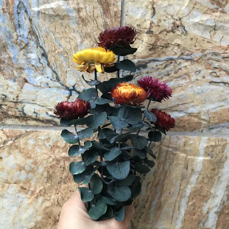 7 Pieces 15-25CM 20-30 см/7 шт настоящие сушеные натуральные свежие вечные ветки эвкалипта, декоративные травы монеты, сухие консервированные растения вечные листья - Цвет: 7 Pieces 15-25CM