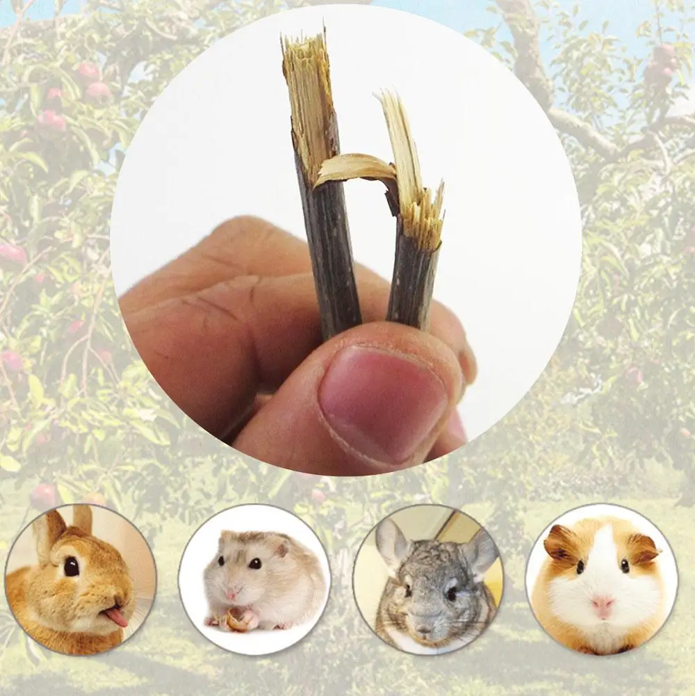 Жевательная игрушка для домашних животных деревянные палочки веточки чистящие
