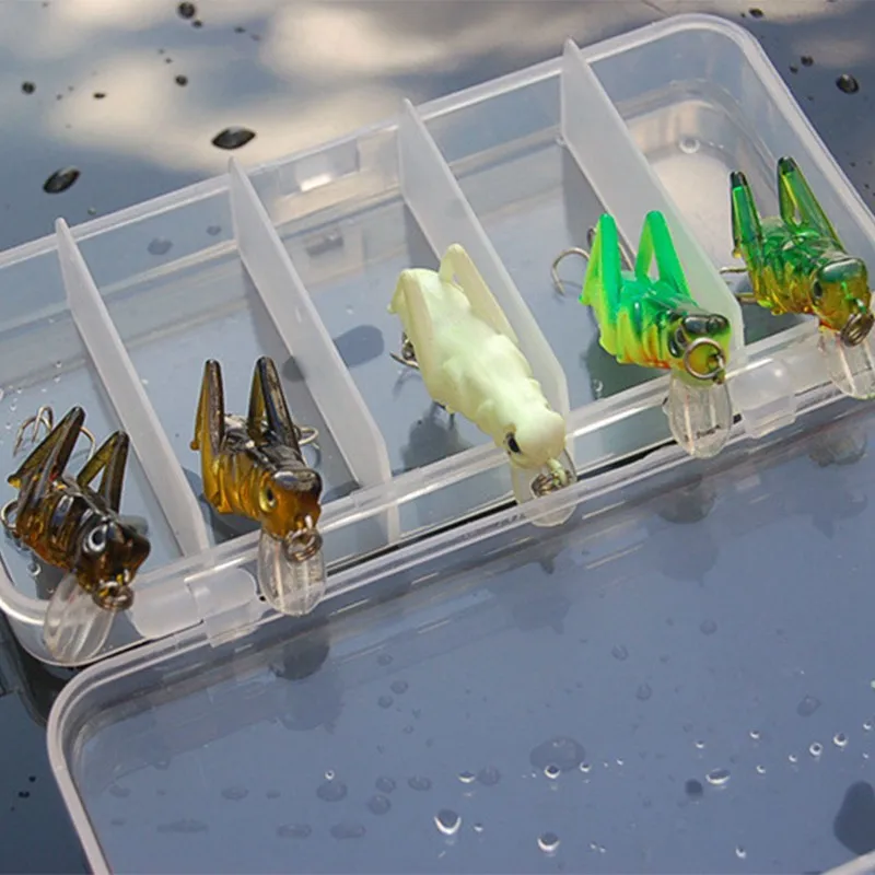5 Pcs Luminous Fishing Lure Artificial Locust Grasshopper Lures Insect Shape Hard Bait Set In Tackle |