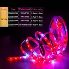 Светодиодный ные фитолампы полного спектра 12 В 5 м300 светодиодный с чипом s 5050 для цветов, фитолампа для теплицы, светильник понного роста