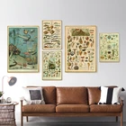 Постер в стиле ретро с изображением морской ракушки, рыбок, животных, винтажная карта жизни, биология, живопись, искусство, настенные картины для гостиной, домашний декор
