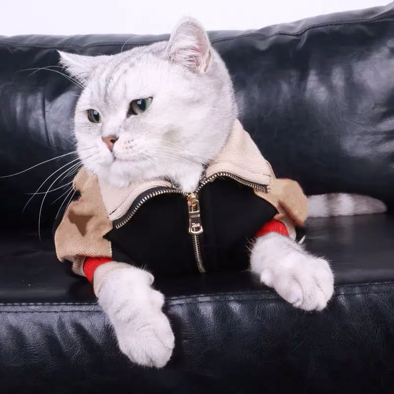 Модная куртка для собак и кошек теплая зимняя бейсбольная одежда домашних