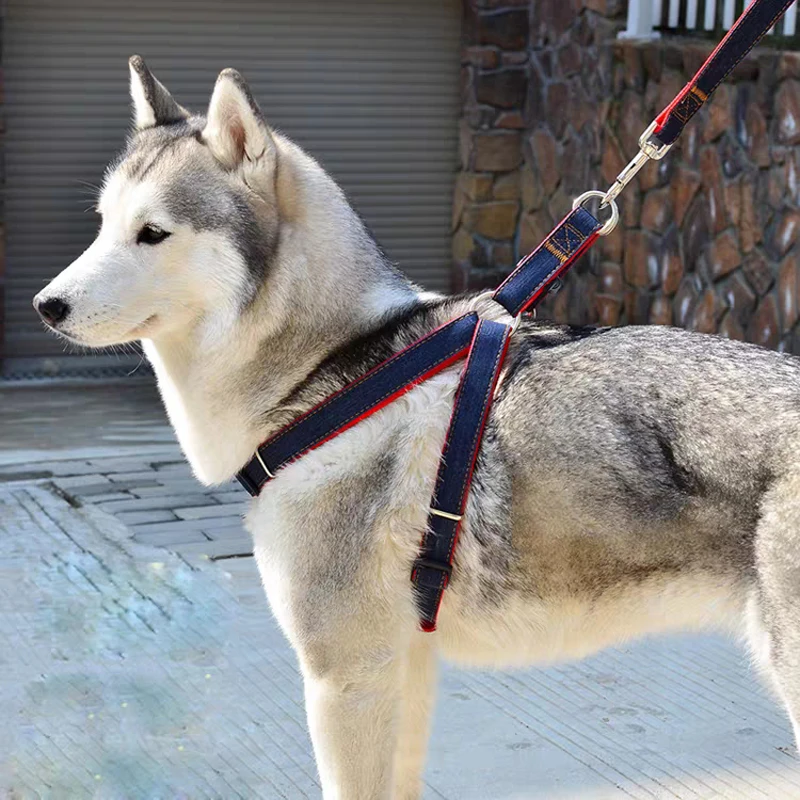 Ковбойский ошейник для собак подходит маленьких и средних поводок чихуахуа 120 см