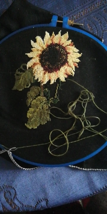 Набор для вышивки крестиком Подсолнух наборы растений черной тканью сделай сам |