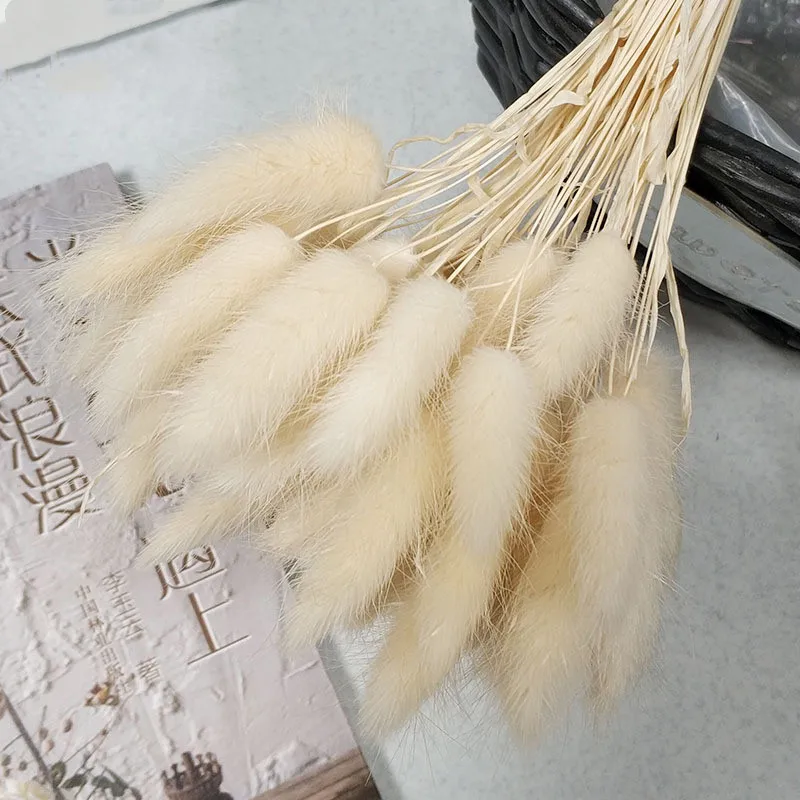 30 шт. сушеные цветы зайчик хвост трава натуральные растения Цветочный Кролик