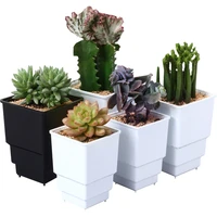 meshpot 6 pack plastic root controlling succulent pot cactus cups deepen thickening garden pot planter container with drainage