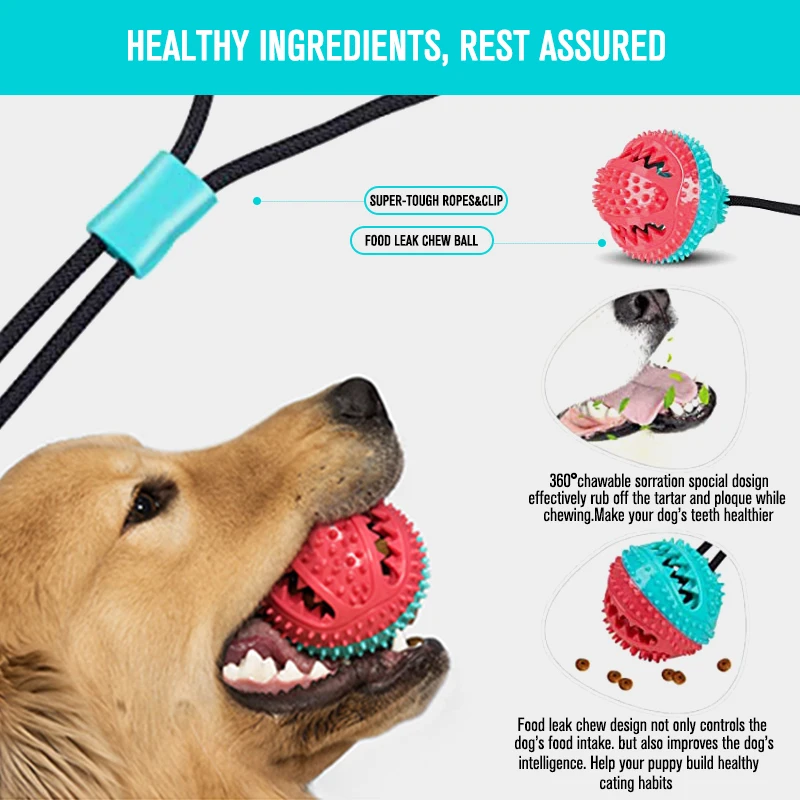 

Factory Dog Toys Pet Puppy Interactive Suction Cup Push TPR Ball Toys Molar Bite Toy Elastic Ropes Dog Tooth Cleaning Chewing
