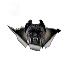 Фучжэнь бутиковые наклейки внешние фотоотделенные металлические наклейки водонепроницаемые Стильные наклейки для домашних животных и собак