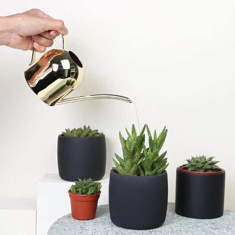 

Stainless Steel Watering Can Kettle Garden Home Bottle Plants Flower Sprinker Pot Tools
