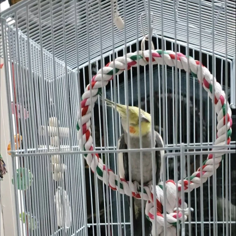 Высокое качество Pet Bird игрушки хлопковая веревка круглое кольцо для скалолазания