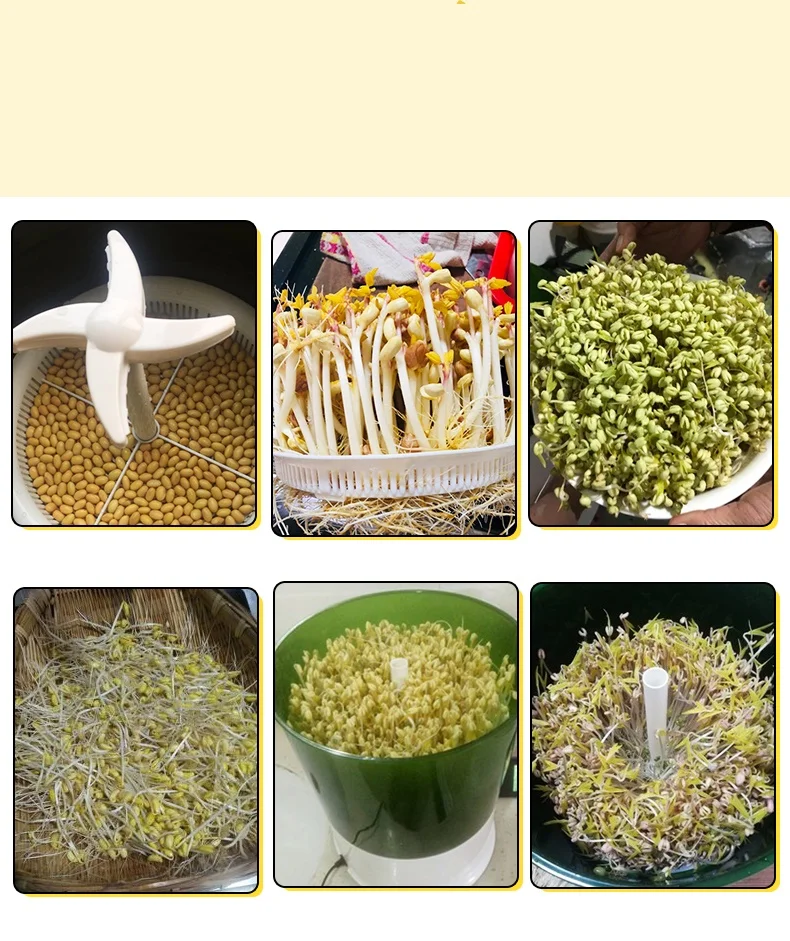 Электрическая машина для выращивания бобов 220 В термостат большой емкости