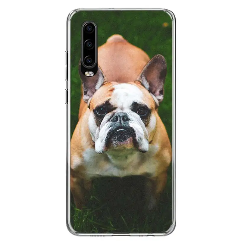 French Bulldog Puppy Phone Case For Huawei P30 P20 P10 P50 P40 Lite Mate 30 20 10 40 Pro Art Luxury Customized Cover Coque Capa | Мобильные