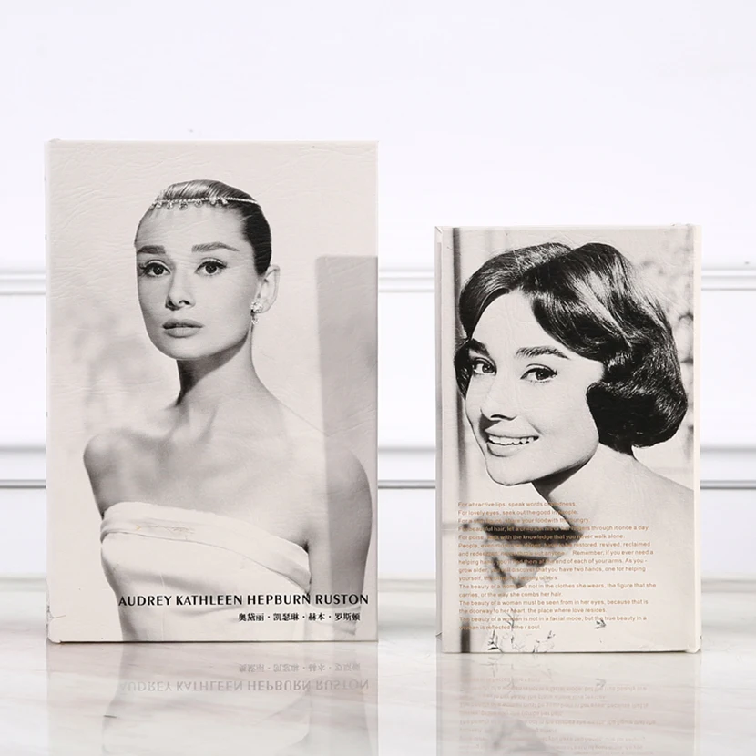 Популярный современный дневной словарь секретная копилка скрытая охранная