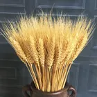 Цветок из натуральной пшеницы 23 см, Натуральные сушеные цветы для свадебной вечеринки, домашний декор стола, сделай сам, скрапбукинг, букеты из короткой пшеницы