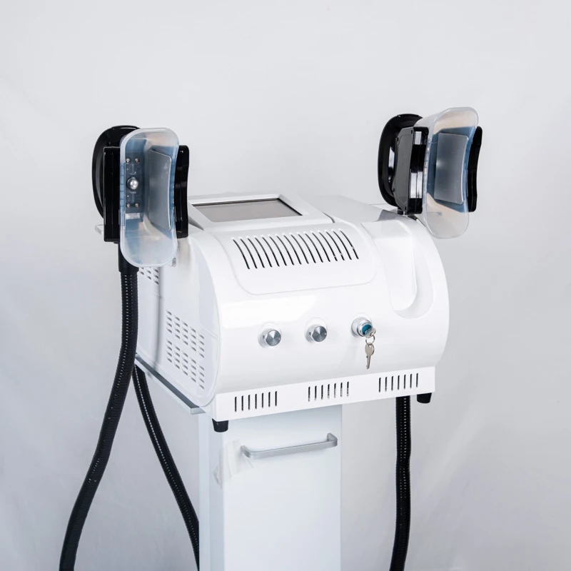 Cryolipo Slimming Fast Burning Body Sculpting Remove Belly Fat Weight Loss 360 Degree Painless Cryolipolysis Machine