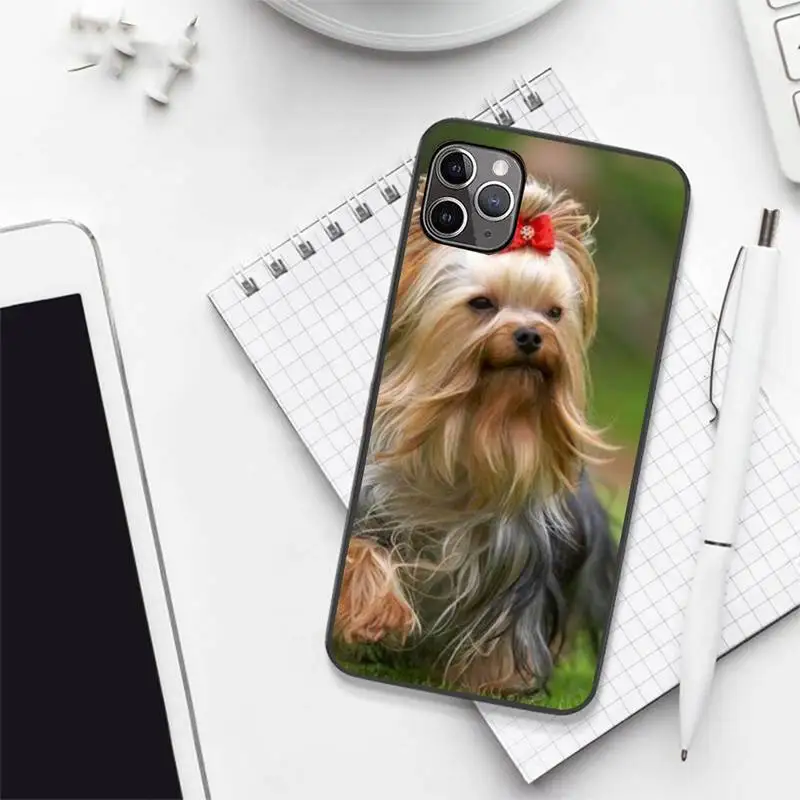 

Cute Yorkshire terrier dog love Phone Case for iPhone 7 8 11 12 Pro X XS XR Samsung A S 6 7 9plus 10plus 21s 71
