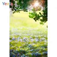 yeele grassland sunshine scenic photography backgrounds personalized nature portrait photographic backdrops for photo studio