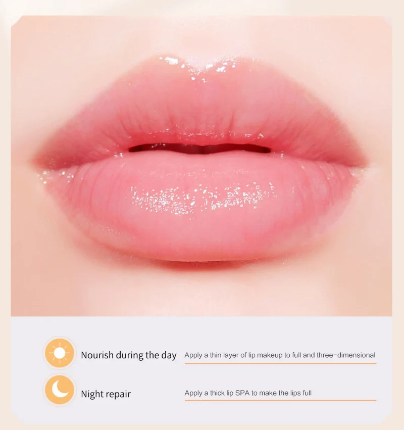 Propolis Lip Balm Moist Lips Mask Lasting Moisturizing Lip Gloss Daytime Nutrition Night Care Lip Balm Makeup Comestics TSLM1