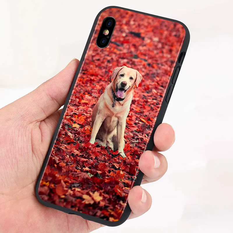 Силиконовый чехол для Apple iPhone 13 12 Mini 11 Pro XS MAX XR X 8 7 Plus 6 SE | Мобильные телефоны и