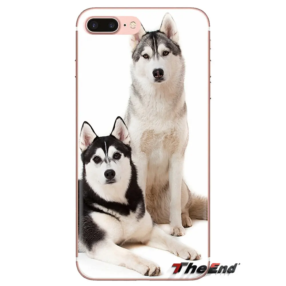 For Huawei P Smart Y6 P8 P9 P10 Plus Nova P20 Lite Pro Mini 2017 SLA-L02 SLA-L22 2i Transparent TPU Cases Covers husky puppy dog |