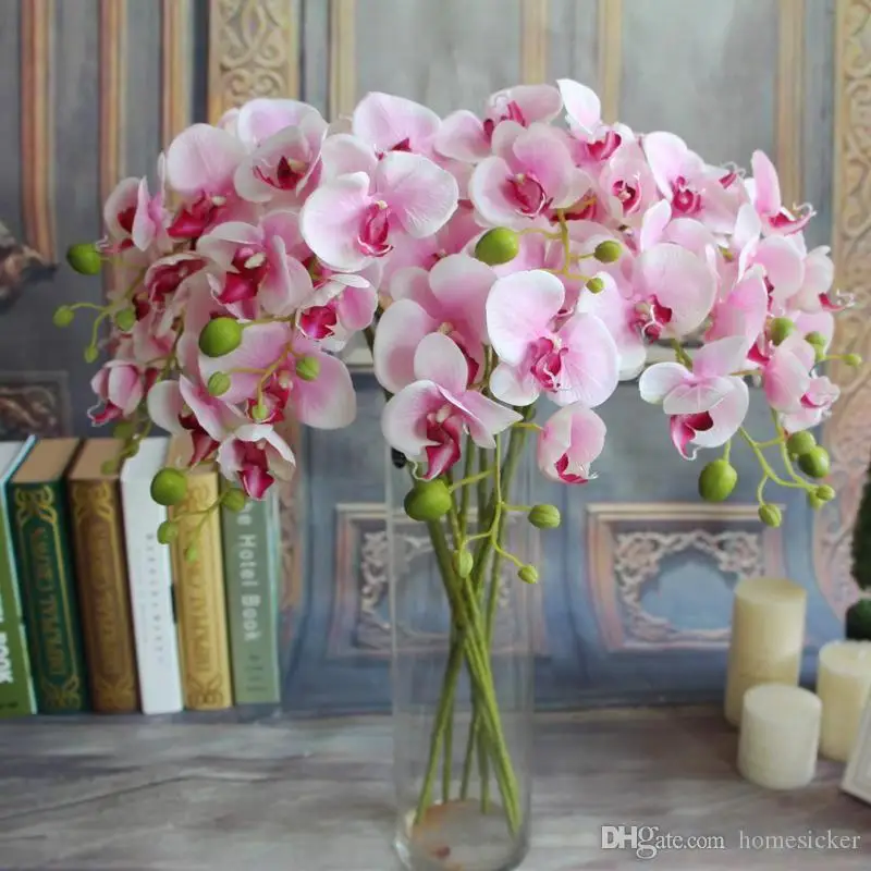 Beste 100Pcs Populaire Witte Phalaenopsis Vlinder Orchidee Bloem 78Cm/30.71