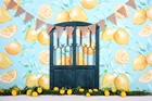 Фон для фотосъемки лимон тематическая вечеринка на день рождения украшение старая деревянная дверь новорожденный портрет фото фон W-4390