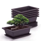 Набор состоит из 6 предметов, карликовые деревья горшки классический глубокий мокрой лоток Пластик сад цветочные горшки цветы травы квадратный Рабочий стол домашний декор