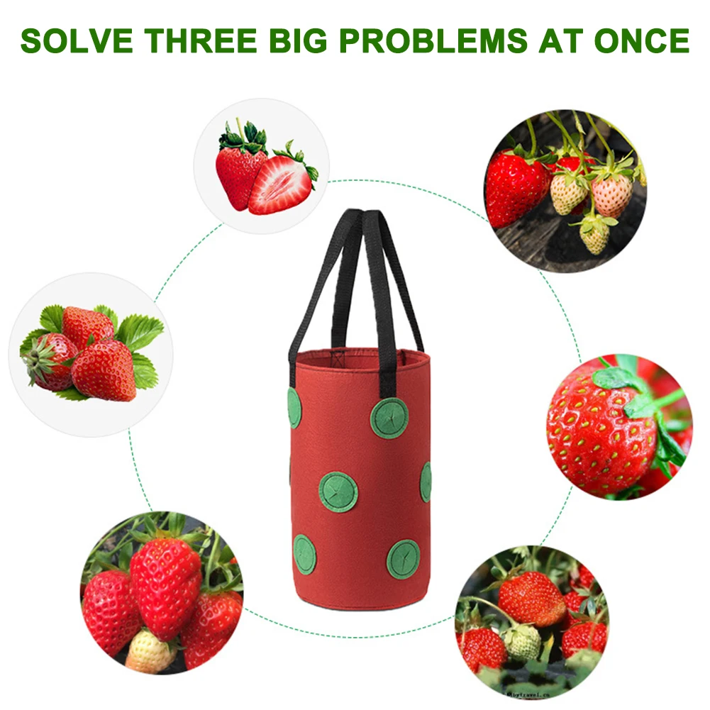

12 Ho Hanging Strawberry Planting Felt Cloth Planting Container Bag Thicken Garden Pot Plant Grow Bag With Visualization Pockets