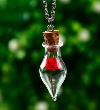 Сушеный цветок ожерелье forget-me-не настоящее живое растение Посеребренная Подвеска Бижутерия Ожерелье с цветами - Окраска металла: songxiang0025