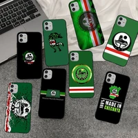 chechnya flag phone case for iphone 11 12 13 mini pro xs max 8 7 6 6s plus x 5s se 2020 xr cover