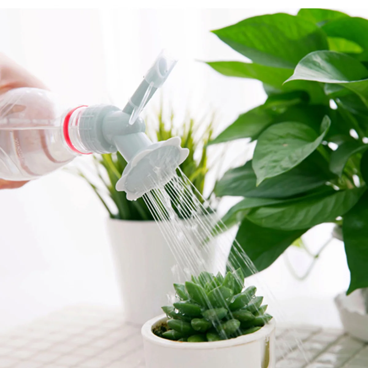 Спринклер для бутылки AA двойная головка полива саженцев бонсай | Дом и сад